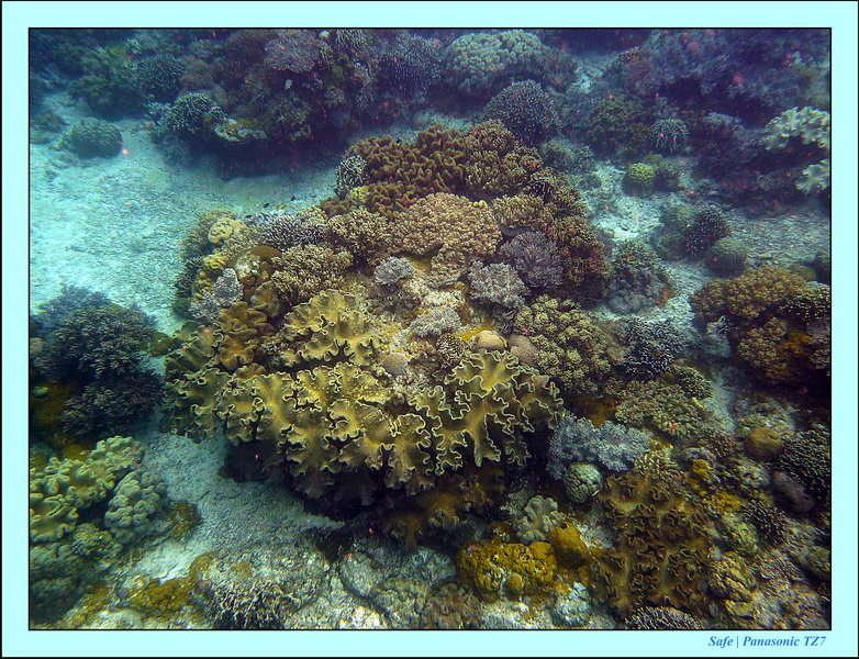 2012 - 07 - Apoh Island 03